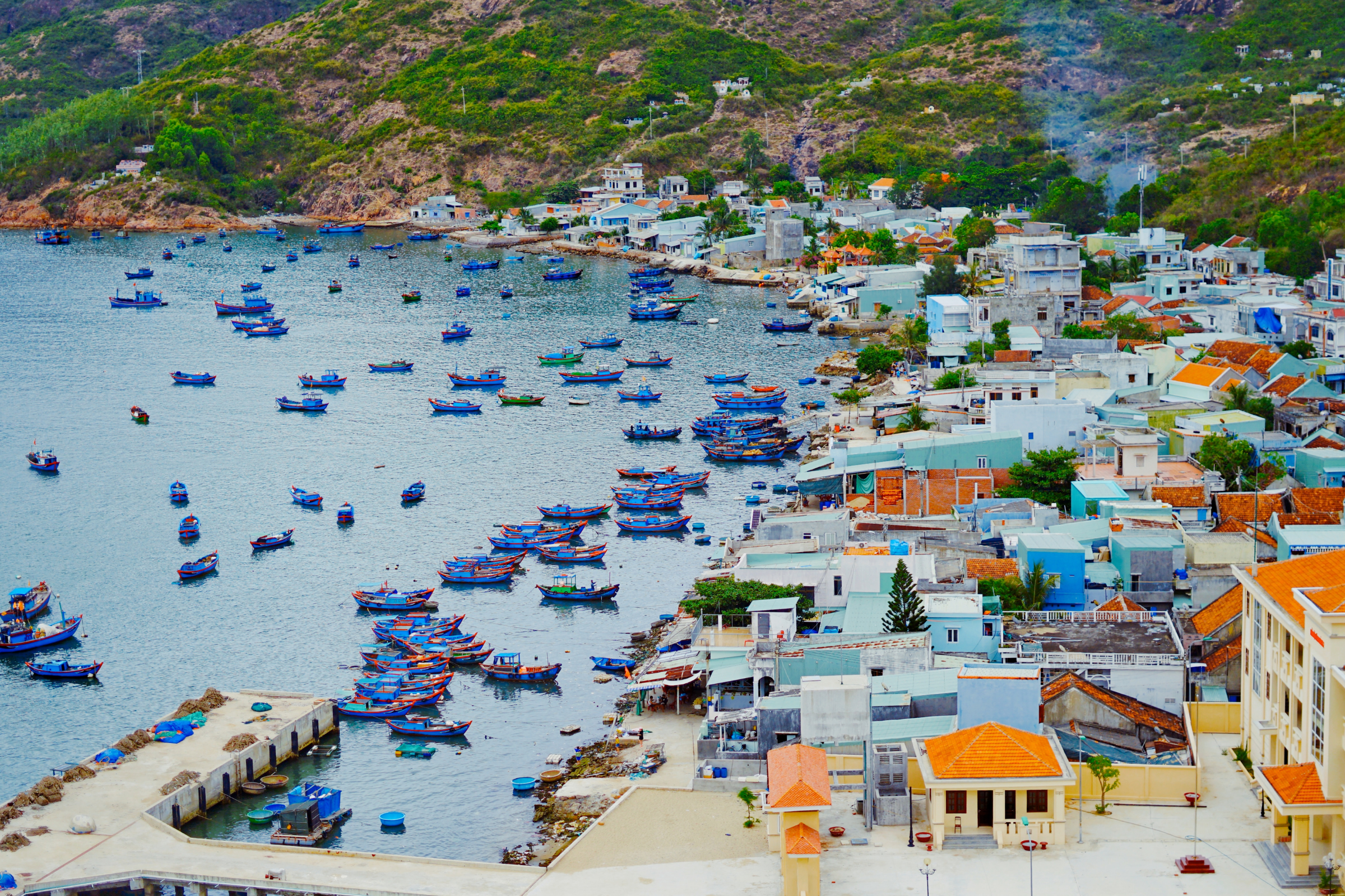 qui nhon (3).webp